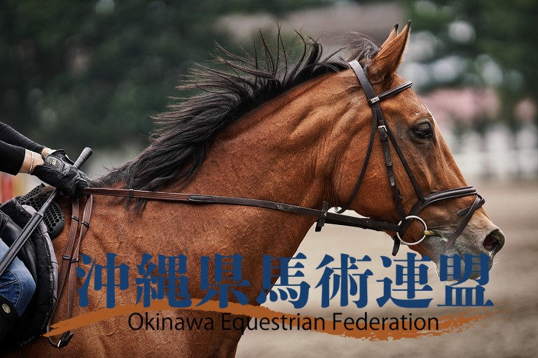 沖縄県馬術連盟